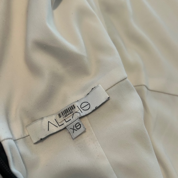 Alexis Black and White Lace Midi Dress Size XS Sheer ~ Designer! - Picture 4 of 4